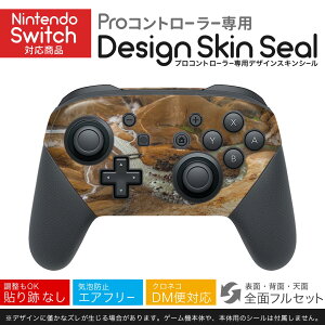 Nintendo Switch p PRORg[ p jeh[ XCb` vR p fUCXLV[ SʃZbg Jo[ P[X ی tB XebJ[ fR ANZT[ 023941 R@iF@