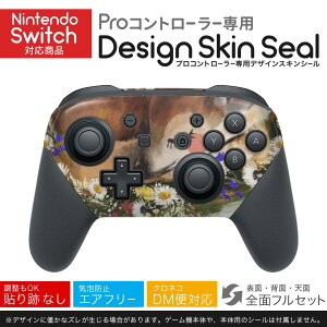 Nintendo Switch p PRORg[ p jeh[ XCb` vR p fUCXLV[ SʃZbg Jo[ P[X ی tB XebJ[ fR ANZT[ 026106 @or