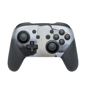 Nintendo Switch p PRORg[ p jeh[ XCb` vR p fUCXLV[ SʃZbg Jo[ P[X ی tB XebJ[ fR ANZT[ 004679 @yM