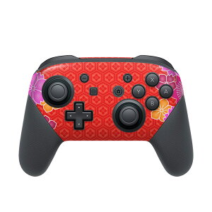 Nintendo Switch p PRORg[ p jeh[ XCb` vR p fUCXLV[ SʃZbg Jo[ P[X ی tB XebJ[ fR ANZT[ 005204 a@a@