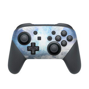 Nintendo Switch p PRORg[ p jeh[ XCb` vR p fUCXLV[ SʃZbg Jo[ P[X ی tB XebJ[ fR ANZT[ 005712 @H@_