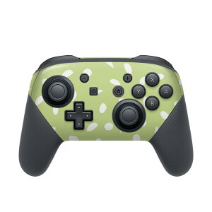 Nintendo Switch p PRORg[ p jeh[ XCb` vR p fUCXLV[ SʃZbg Jo[ P[X ی tB XebJ[ fR ANZT[ 050466