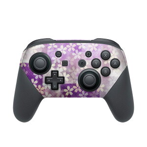 Nintendo Switch p PRORg[ p jeh[ XCb` vR p fUCXLV[ SʃZbg Jo[ P[X ی tB XebJ[ fR ANZT[ 006673 