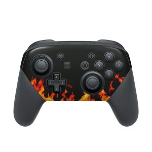 Nintendo Switch p PRORg[ p jeh[ XCb` vR p fUCXLV[ SʃZbg Jo[ P[X ی tB XebJ[ fR ANZT[ 007934 @ق̂@