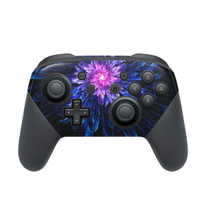 Nintendo Switch p PRORg[ p jeh[ XCb` vR p fUCXLV[ SʃZbg Jo[ P[X ی tB XebJ[ fR ANZT[ 008575 ԁ@@@u