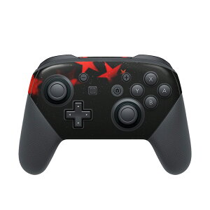 Nintendo Switch p PRORg[ p jeh[ XCb` vR p fUCXLV[ SʃZbg Jo[ P[X ی tB XebJ[ fR ANZT[ 008722 @ubN