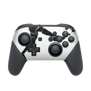 Nintendo Switch p PRORg[ p jeh[ XCb` vR p fUCXLV[ SʃZbg Jo[ P[X ی tB XebJ[ fR ANZT[ 009845 X|[c@T