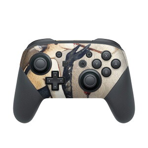 Nintendo Switch p PRORg[ p jeh[ XCb` vR p fUCXLV[ SʃZbg Jo[ P[X ی tB XebJ[ fR ANZT[ 010877 @Fʁ@