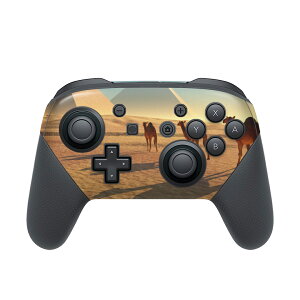 Nintendo Switch p PRORg[ p jeh[ XCb` vR p fUCXLV[ SʃZbg Jo[ P[X ی tB XebJ[ fR ANZT[ 010934 炭@