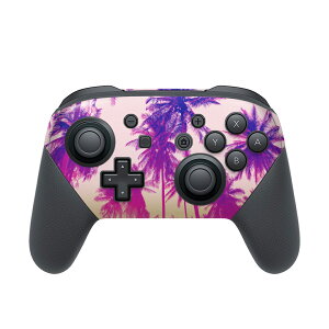 Nintendo Switch p PRORg[ p jeh[ XCb` vR p fUCXLV[ SʃZbg Jo[ P[X ی tB XebJ[ fR ANZT[ 011305 ā@V̖