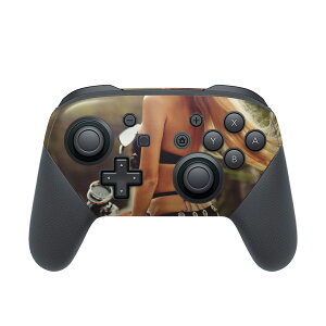 Nintendo Switch p PRORg[ p jeh[ XCb` vR p fUCXLV[ SʃZbg Jo[ P[X ی tB XebJ[ fR ANZT[ 011533 @