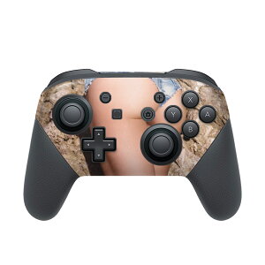 Nintendo Switch p PRORg[ p jeh[ XCb` vR p fUCXLV[ SʃZbg Jo[ P[X ی tB XebJ[ fR ANZT[ 011537 @