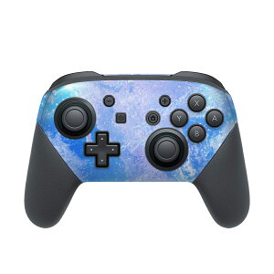 Nintendo Switch p PRORg[ p jeh[ XCb` vR p fUCXLV[ SʃZbg Jo[ P[X ی tB XebJ[ fR ANZT[ 011802 n@F@