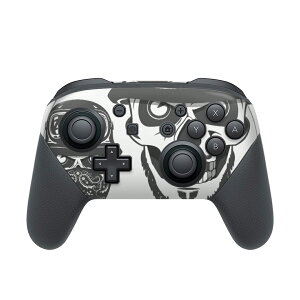 Nintendo Switch p PRORg[ p jeh[ XCb` vR p fUCXLV[ SʃZbg Jo[ P[X ی tB XebJ[ fR ANZT[ 011889 XJ@