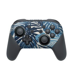 Nintendo Switch p PRORg[ p jeh[ XCb` vR p fUCXLV[ SʃZbg Jo[ P[X ی tB XebJ[ fR ANZT[ 012087 A@@