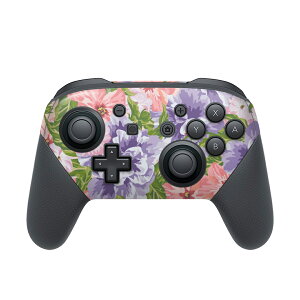 Nintendo Switch p PRORg[ p jeh[ XCb` vR p fUCXLV[ SʃZbg Jo[ P[X ی tB XebJ[ fR ANZT[ 012098 ԁ@sN@