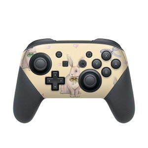 Nintendo Switch p PRORg[ p jeh[ XCb` vR p fUCXLV[ SʃZbg Jo[ P[X ی tB XebJ[ fR ANZT[ 012210 @{