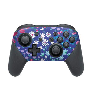 Nintendo Switch p PRORg[ p jeh[ XCb` vR p fUCXLV[ SʃZbg Jo[ P[X ی tB XebJ[ fR ANZT[ 012226 ԁ@ԕ@