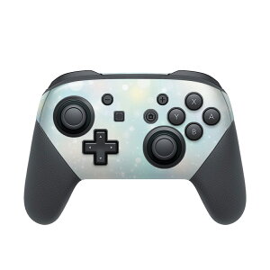 Nintendo Switch p PRORg[ p jeh[ XCb` vR p fUCXLV[ SʃZbg Jo[ P[X ی tB XebJ[ fR ANZT[ 012795 LL@Y