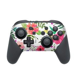 Nintendo Switch p PRORg[ p jeh[ XCb` vR p fUCXLV[ SʃZbg Jo[ P[X ی tB XebJ[ fR ANZT[ 013494 ԁ@ԕ@J