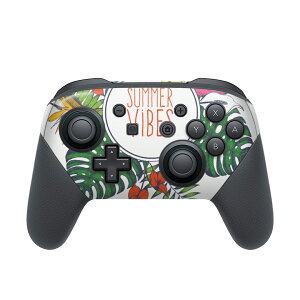 Nintendo Switch p PRORg[ p jeh[ XCb` vR p fUCXLV[ SʃZbg Jo[ P[X ی tB XebJ[ fR ANZT[ 013889 ā@gsJ