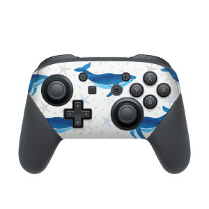 Nintendo Switch p PRORg[ p jeh[ XCb` vR p fUCXLV[ SʃZbg Jo[ P[X ی tB XebJ[ fR ANZT[ 013908 NW@C@