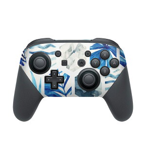 Nintendo Switch p PRORg[ p jeh[ XCb` vR p fUCXLV[ SʃZbg Jo[ P[X ی tB XebJ[ fR ANZT[ 014041 C@V̖