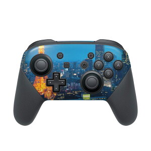 Nintendo Switch p PRORg[ p jeh[ XCb` vR p fUCXLV[ SʃZbg Jo[ P[X ی tB XebJ[ fR ANZT[ 014734 ^[@