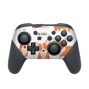 Nintendo Switch p PRORg[ p jeh[ XCb` vR p fUCXLV[ SʃZbg Jo[ P[X ی tB XebJ[ fR ANZT[ 016231 @R[M[