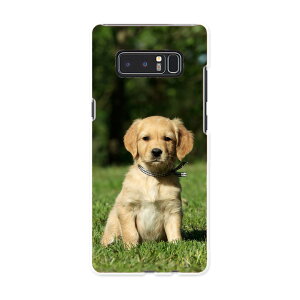 SC-01K Galaxy Note8 �M�����N�V�[ �m�[�g�G�C�g sc01k docomo �h�R�� �X�}�z �J�o�[ �P�[�X �X�}�z�P�[�X �X�}�z�J�o�[ PC �n�[�h�P�[�X ���@�����@�ʐ^ �A�j�}�� 002580