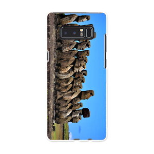SC-01K Galaxy Note8 �M�����N�V�[ �m�[�g�G�C�g sc01k docomo �h�R�� �X�}�z �J�o�[ �P�[�X �X�}�z�P�[�X �X�}�z�J�o�[ PC �n�[�h�P�[�X �O���@�ʐ^�@�i�F�@���i �N�[�� �ʐ^�E���i ���̑� 003284