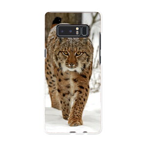 SC-01K Galaxy Note8 �M�����N�V�[ �m�[�g�G�C�g sc01k docomo �h�R�� �X�}�z �J�o�[ �P�[�X �X�}�z�P�[�X �X�}�z�J�o�[ PC �n�[�h�P�[�X �ʐ^�@�����@�� �A�j�}�� 006779