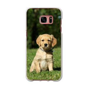 SCV33 Galaxy S7 edge �M�����N�V�[ au �G�[���[ �X�}�z �J�o�[ �X�}�z�P�[�X �n�[�h pc �P�[�X �n�[�h�P�[�X ���@�����@�ʐ^ �A�j�}�� 002580