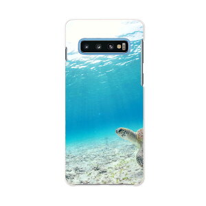 SCV42 Galaxy S10+ ギャラクシー エステンプラス au エーユー scv42 スマホ カバー ケース スマホケース スマホカバー PC ハードケース 004605 ウミガメ 海 写真
