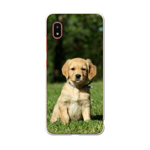 Galaxy A21 SC-42A ��p�n�[�h�P�[�X igcase sc42a �X�}�z�J�o�[ �J�o�[ �P�[�X pc �n�[�h�P�[�X 002580 �A�j�}�� ���@�����@�ʐ^