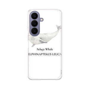 Galaxy S26 �p �X�}�z�P�[�X SC-51G / SCG36 ���ʑΉ� sc51g �P�[�X �J�o�[ �n�[�h�P�[�X 019747 �C�̐��� �V���C���J beluga whale