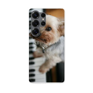 Galaxy S25 Ultra �p �X�}�z�J�o�[ SC-52F / SCG32 ���ʑΉ� sc52f �P�[�X �J�o�[ �n�[�h�P�[�X 004565 ���@�ʐ^�@�s�A�m
