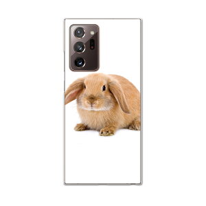 igcase Galaxy Note20 Ultra 5G SC-53A ��p�n�[�h�P�[�X sc53a docomo �h�R�� �X�}�z�J�o�[ �J�o�[ �P�[�X pc �n�[�h�P�[�X 001112 �A�j�}�� �������@����