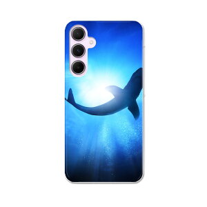 Galaxy A55 5G �p �n�[�h�P�[�X SC-53E / SCG27 ���ʑΉ� �P�[�X �J�o�[ �n�[�h�P�[�X 012652 ���@������@�C