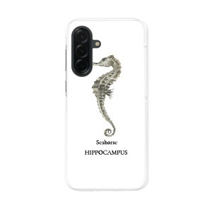 Galaxy A36 5G �p �X�}�z�J�o�[ SC-54F / SCG34 ���ʑΉ� ���ʑΉ� sc54f �P�[�X �J�o�[ �n�[�h�P�[�X 019734 �C�̐��� Seahorse �^�c�m�I�g�V�S