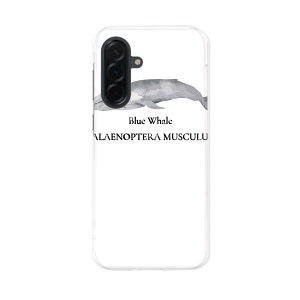 Galaxy A36 5G �p �X�}�z�J�o�[ SC-54F / SCG34 ���ʑΉ� ���ʑΉ� sc54f �P�[�X �J�o�[ �n�[�h�P�[�X 019741 �C�̐��� �V���i�K�X�N�W�� blue whale