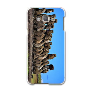 SCV32 GALAXY A8 �M�����N�V�[ A8 scv32 au �G�[���[ �X�}�z �J�o�[ �X�}�z�P�[�X �X�}�z�J�o�[ PC �n�[�h�P�[�X �O���@�ʐ^�@�i�F�@���i �N�[�� �ʐ^�E���i ���̑� 003284