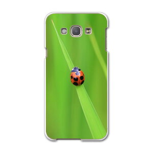 SCV32 GALAXY A8 �M�����N�V�[ A8 scv32 au �G�[���[ �X�}�z �J�o�[ �X�}�z�P�[�X �X�}�z�J�o�[ PC �n�[�h�P�[�X �Ă�Ƃ����@�ʐ^ �ʐ^�E���i 003604