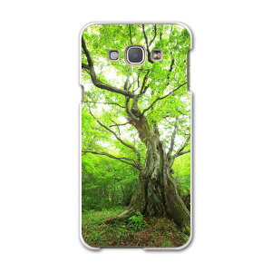 SCV32 GALAXY A8 �M�����N�V�[ A8 scv32 au �G�[���[ �X�}�z �J�o�[ �X�}�z�P�[�X �X�}�z�J�o�[ PC �n�[�h�P�[�X �ʐ^�@�X�@�A�� �ʐ^�E���i 005452