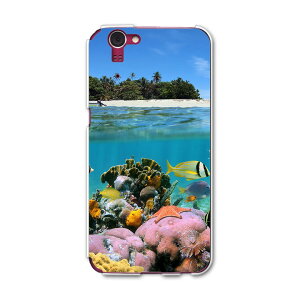 SH-01F AQUOS PHONE ZETA ANIX[[^ sh01f docomo hR X}z Jo[ P[X X}zP[X X}zJo[ TPU \tgP[X C@O@ʐ^@iF N[ ʐ^Ei 003328