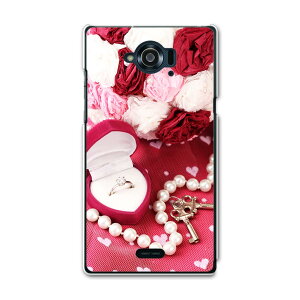 SH-01G AQUOS ZETA ANIX[[^ sh01g docomo hR X}z Jo[ P[X X}zP[X X}zJo[ TPU \tgP[X @w OWA[ 000996