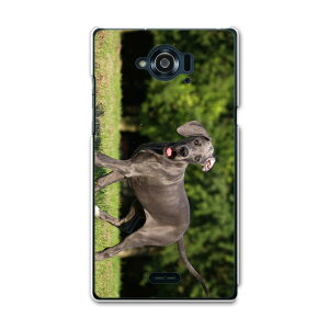 SH-01G AQUOS ZETA ANIX[[^ sh01g docomo hR X}z Jo[ P[X X}zP[X X}zJo[ TPU \tgP[X @@ʐ^ Aj} 002584