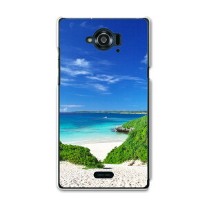 SH-01G AQUOS ZETA ANIX[[^ sh01g docomo hR X}z Jo[ P[X X}zP[X X}zJo[ TPU \tgP[X ā@C@ʐ^ ʐ^Ei 002777