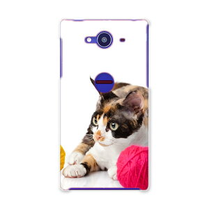 SH-01H AQUOS ZETA ANIX[[^ sh01h docomo hR X}z Jo[ X}zP[X X}zJo[ PC n[hP[X ʐ^@@L@˂ ʐ^Ei Aj} 005939