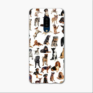 AQUOS zero2 �A�N�I�X �[���c�[ aquoszero2 �\�t�g�o���N softbank �X�}�z �J�o�[ �P�[�X �X�}�z�P�[�X �X�}�z�J�o�[ TPU �\�t�g�P�[�X 000911 ���@����